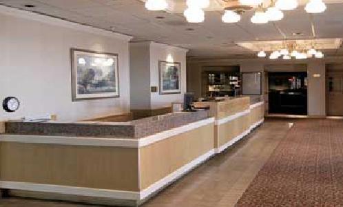 High Desert Inn 엘코 외부 사진